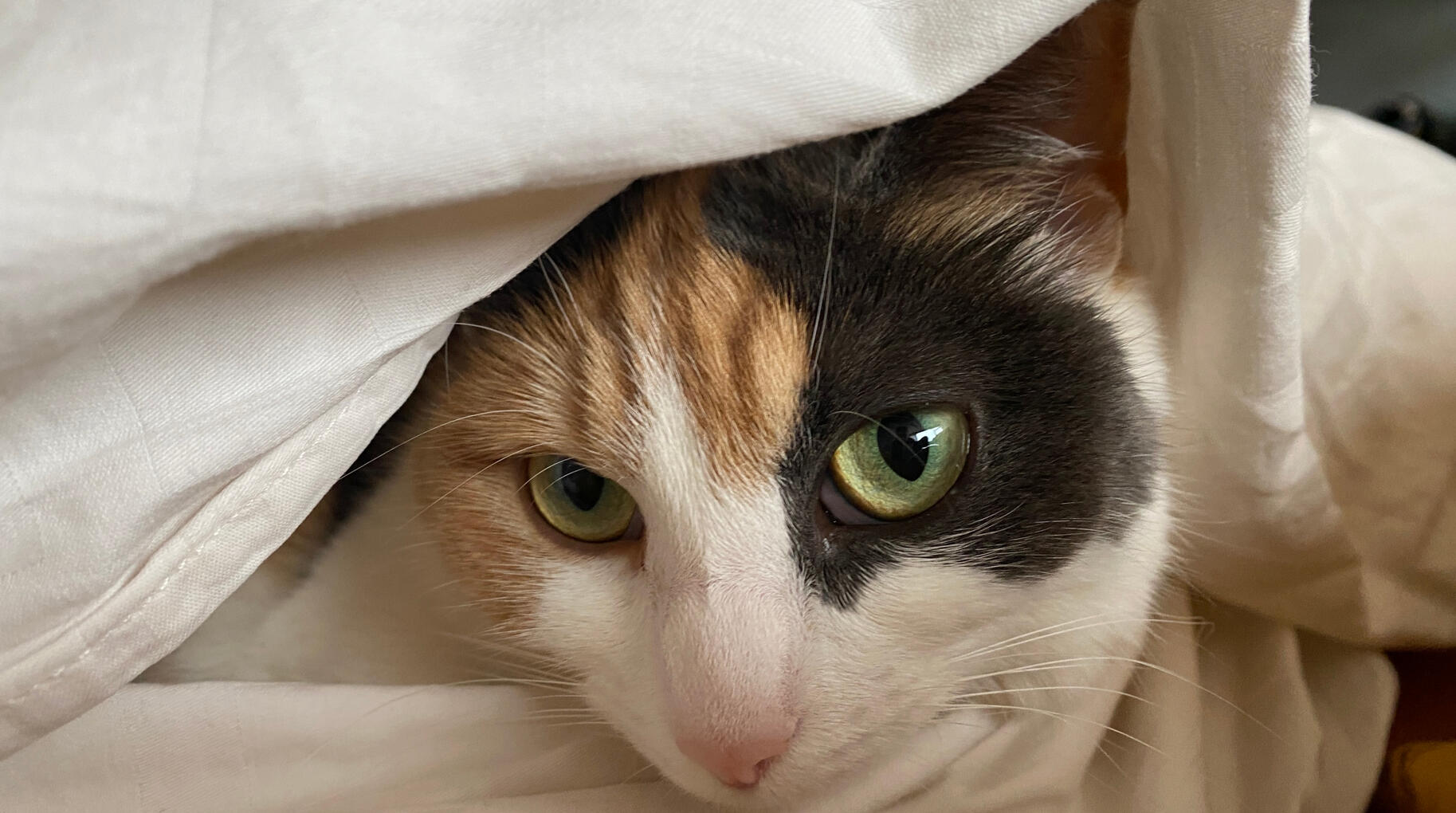 Verstoppertje onder de deken